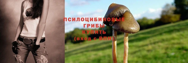 твердый Волоколамск