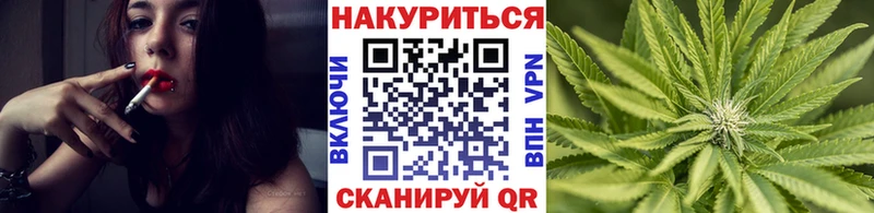 где купить   Назарово  Бошки Шишки гибрид 